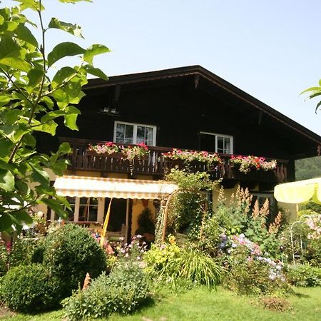 Appartement Am Schilift Sankt Gilgen Exterior foto