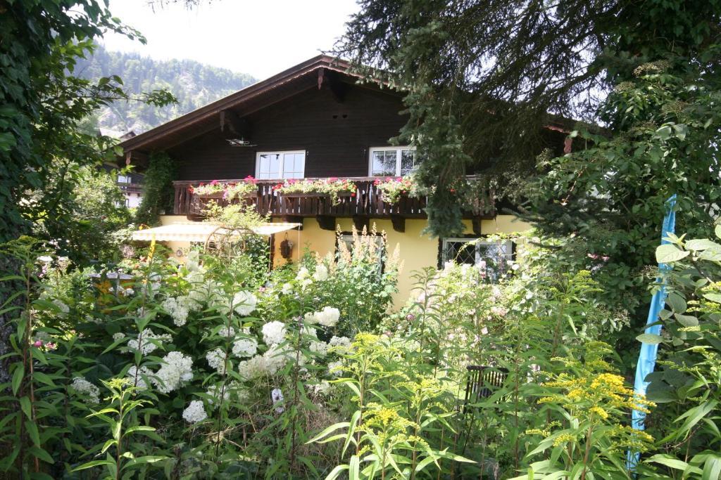 Appartement Am Schilift Sankt Gilgen Exterior foto
